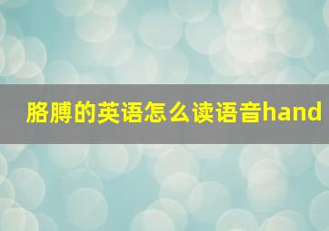 胳膊的英语怎么读语音hand