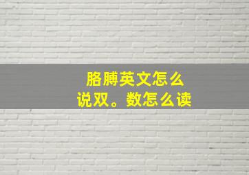 胳膊英文怎么说双。数怎么读