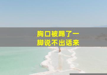 胸口被踢了一脚说不出话来