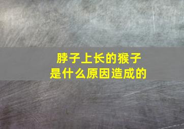 脖子上长的猴子是什么原因造成的