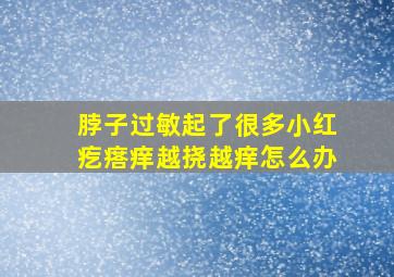 脖子过敏起了很多小红疙瘩痒越挠越痒怎么办