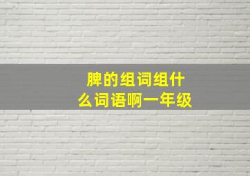 脾的组词组什么词语啊一年级