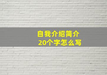 自我介绍简介20个字怎么写