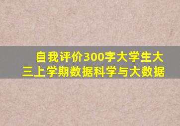 自我评价300字大学生大三上学期数据科学与大数据