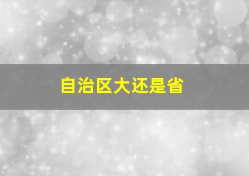 自治区大还是省