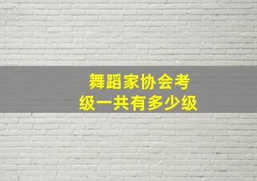 舞蹈家协会考级一共有多少级