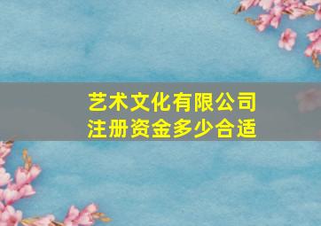 艺术文化有限公司注册资金多少合适