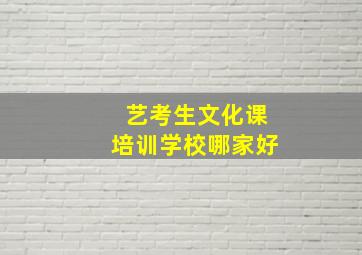 艺考生文化课培训学校哪家好