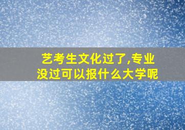 艺考生文化过了,专业没过可以报什么大学呢