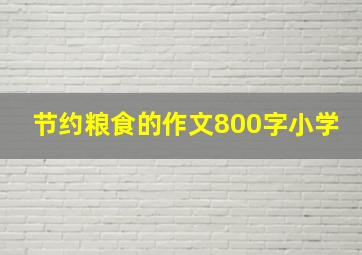 节约粮食的作文800字小学