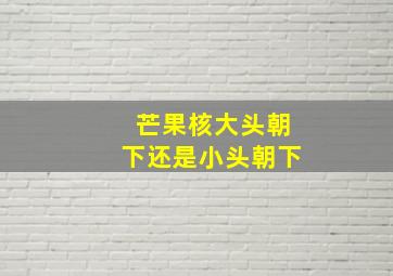 芒果核大头朝下还是小头朝下