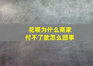 花呗为什么商家付不了款怎么回事