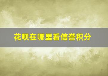 花呗在哪里看信誉积分