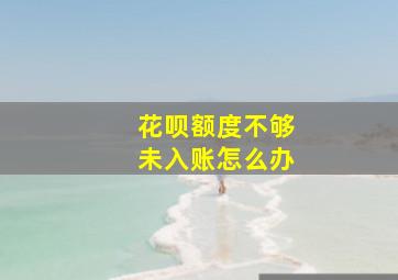 花呗额度不够未入账怎么办