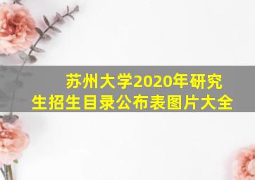 苏州大学2020年研究生招生目录公布表图片大全