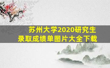 苏州大学2020研究生录取成绩单图片大全下载