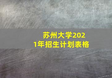 苏州大学2021年招生计划表格