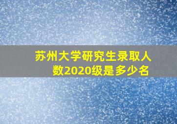 苏州大学研究生录取人数2020级是多少名