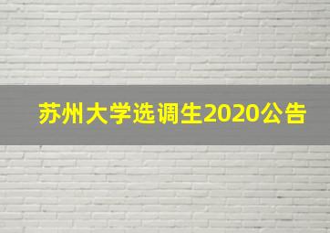 苏州大学选调生2020公告