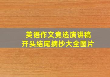 英语作文竞选演讲稿开头结尾摘抄大全图片