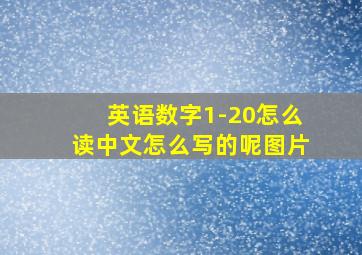 英语数字1-20怎么读中文怎么写的呢图片