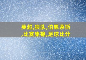 英超,狼队,伯恩茅斯,比赛集锦,足球比分