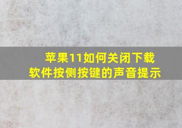 苹果11如何关闭下载软件按侧按键的声音提示