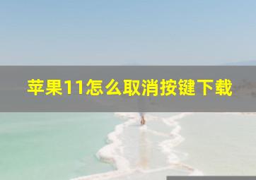 苹果11怎么取消按键下载