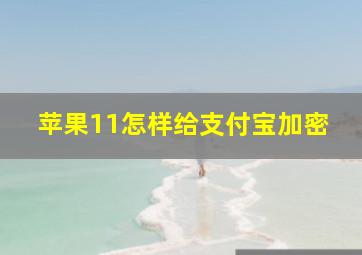 苹果11怎样给支付宝加密