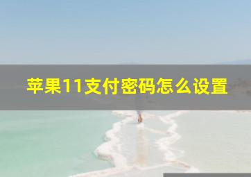 苹果11支付密码怎么设置