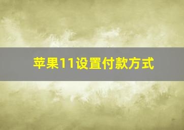 苹果11设置付款方式