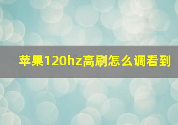 苹果120hz高刷怎么调看到