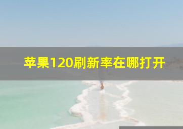 苹果120刷新率在哪打开