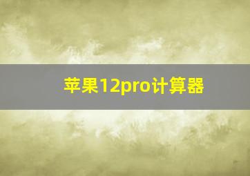 苹果12pro计算器