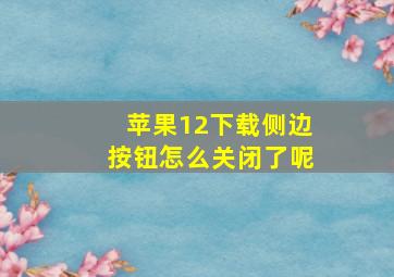 苹果12下载侧边按钮怎么关闭了呢