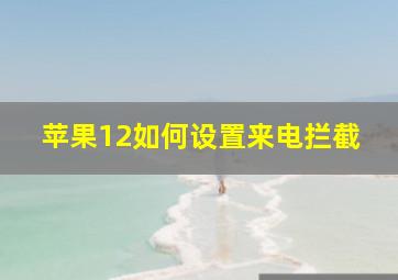 苹果12如何设置来电拦截