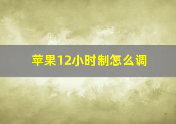 苹果12小时制怎么调