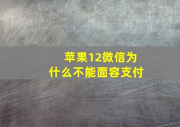 苹果12微信为什么不能面容支付