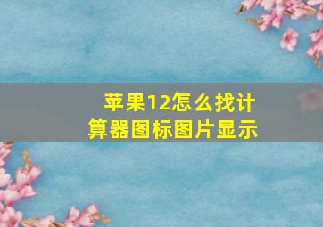 苹果12怎么找计算器图标图片显示