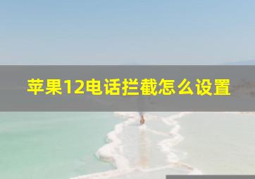 苹果12电话拦截怎么设置