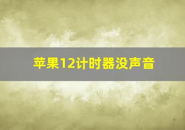 苹果12计时器没声音