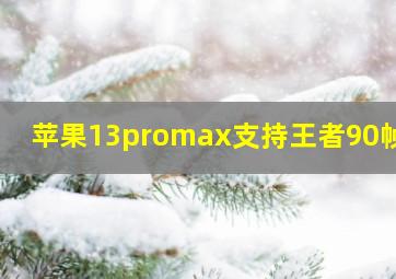 苹果13promax支持王者90帧吗