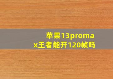 苹果13promax王者能开120帧吗