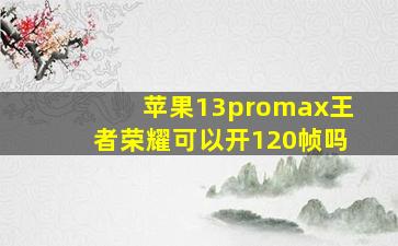 苹果13promax王者荣耀可以开120帧吗