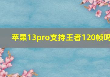 苹果13pro支持王者120帧吗