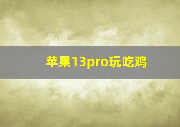 苹果13pro玩吃鸡