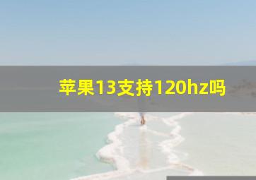 苹果13支持120hz吗