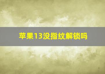 苹果13没指纹解锁吗