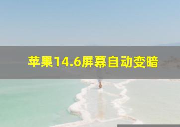 苹果14.6屏幕自动变暗