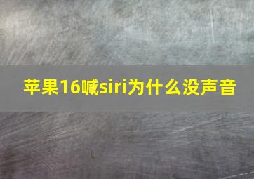 苹果16喊siri为什么没声音